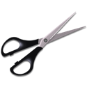 Picture for category Scissors